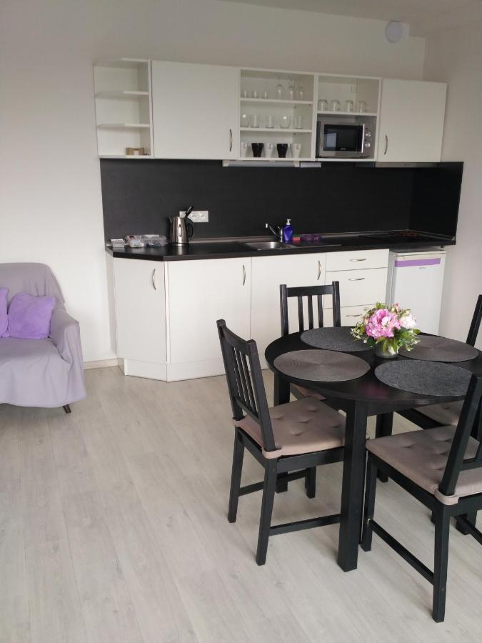 Apartments 4U Center + Free Parking オロモウツ エクステリア 写真